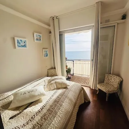Face Proche Palais